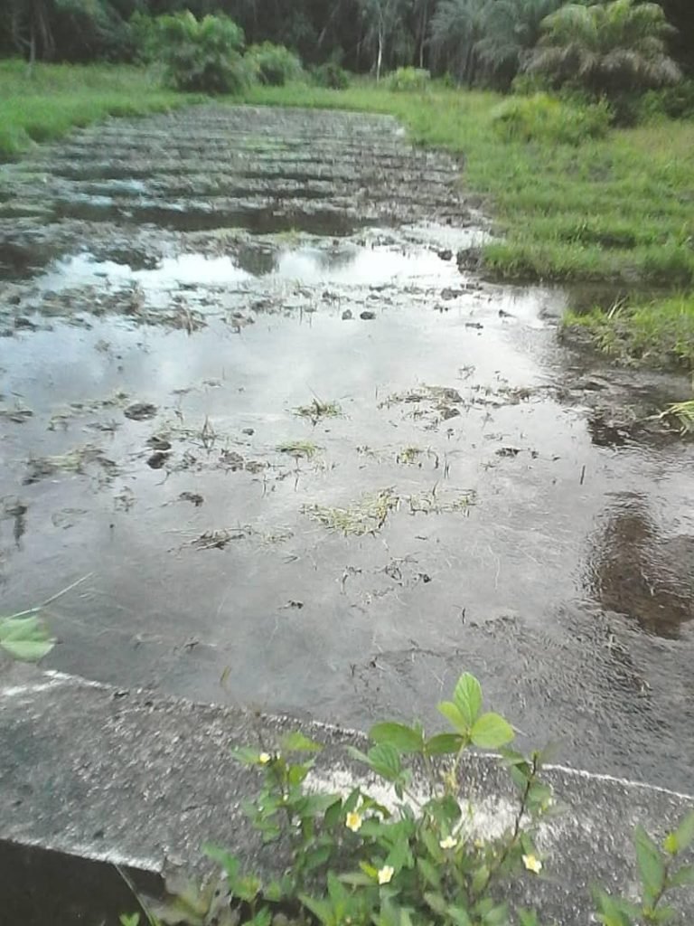 Mathuru Village In Karene Lacks Pure Drinking Water