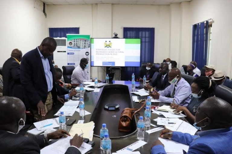 MAF Desires Le 321 Billion to ensure 86% Rice sufficiency in FY2022