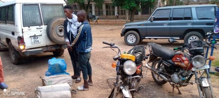 2 Arrested with Large Quantity of Marijuana in BO