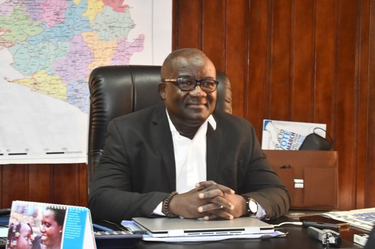 NEC TO TALLY KOINADUGU LOCAL COUNCIL ELECTIONS IN FRETOWN