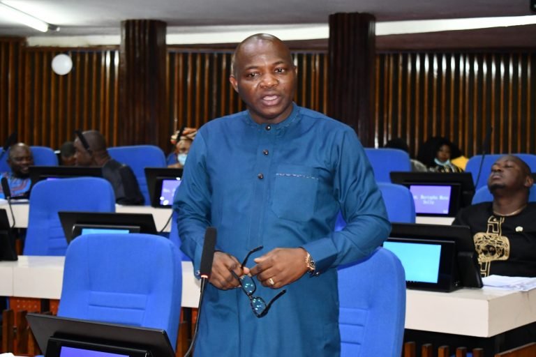 PARLIAMENT VETS WESTERN REGION ELECTORAL APPOINTEE