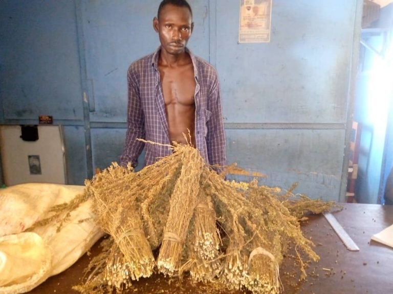 AS COMMUNITY POLICING GAINS MOMENTUM:  TWO CAPTURED IN BO CITY