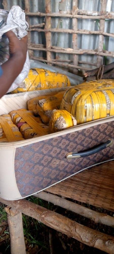 Large Quantity of Marijuana, Harmful drugs, Weapons Arrested in BO