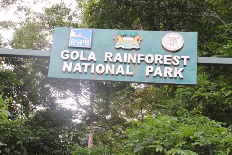 Tourism Ministry, NTB & Line MDA’s Continue Pre-Feasibility Study of National Parks at Tiwai Island & Gold Rain Forest