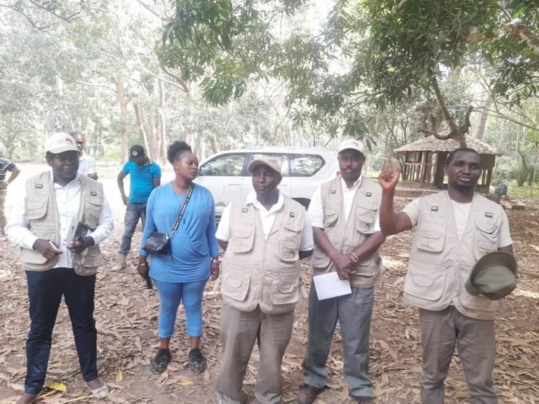 Sierra Leone To Possess Huge Wildlife in Africa  -Kenyan Wildlife Expert