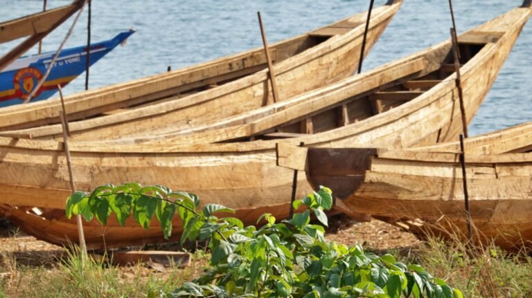 Pujehun Youths Schooled On Fish Farming