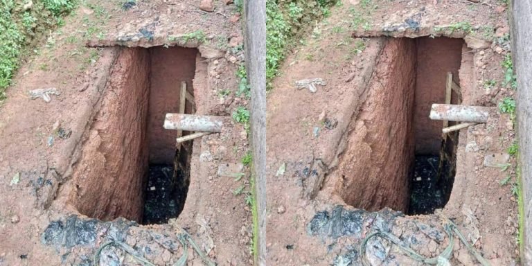 Boys Found Dead In Septic Pit
