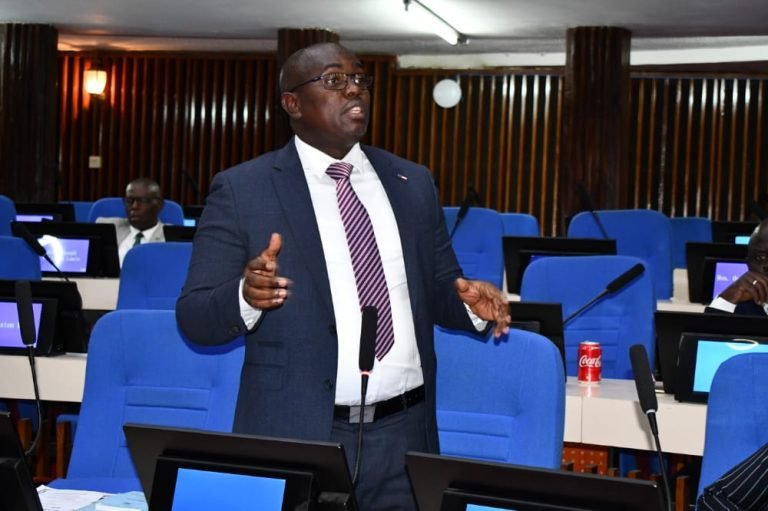 NIN Does Not Disqualify Voters-Deputy Speaker