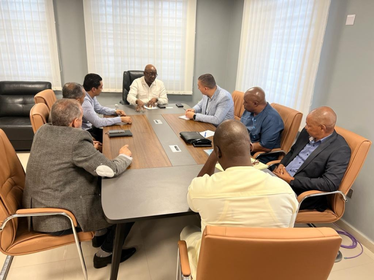 Egypt-Based Afro Group Calls on Energy Minister, Speaks on Investments in Sierra Leone’s Solar Energy Sector