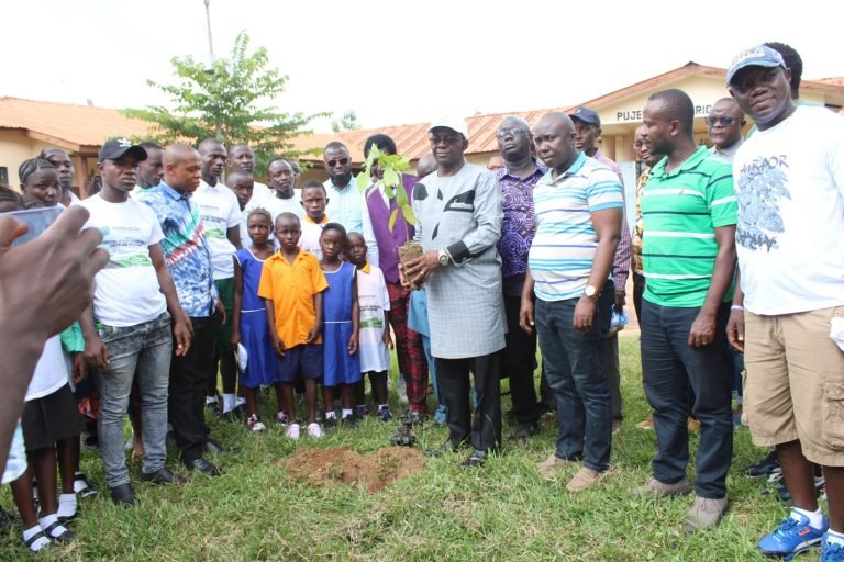 To Address Climate Change… Njala Deputy Vc Urges PuDSA To Build Community For Social Forestry