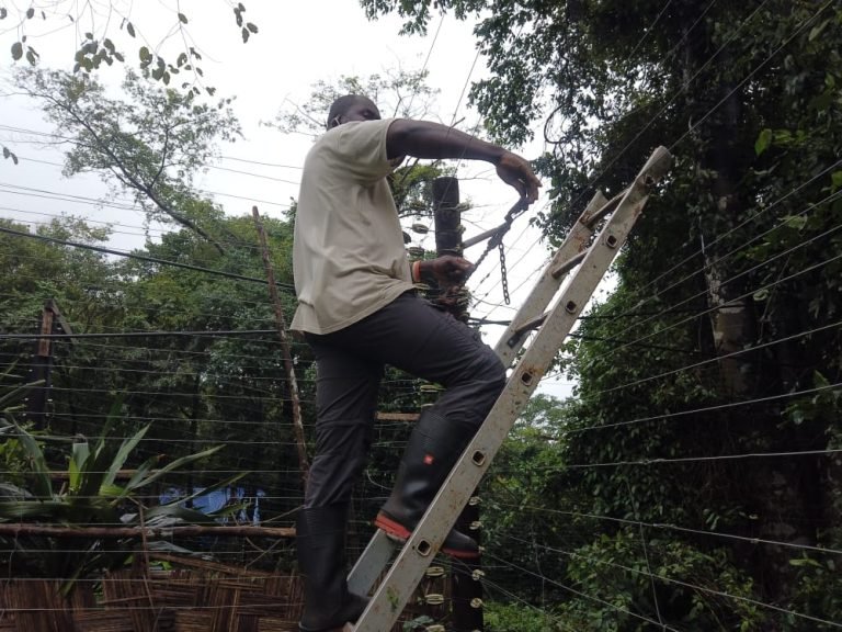 Environmental Protection Is The Key To Address Issues Of Climate Change