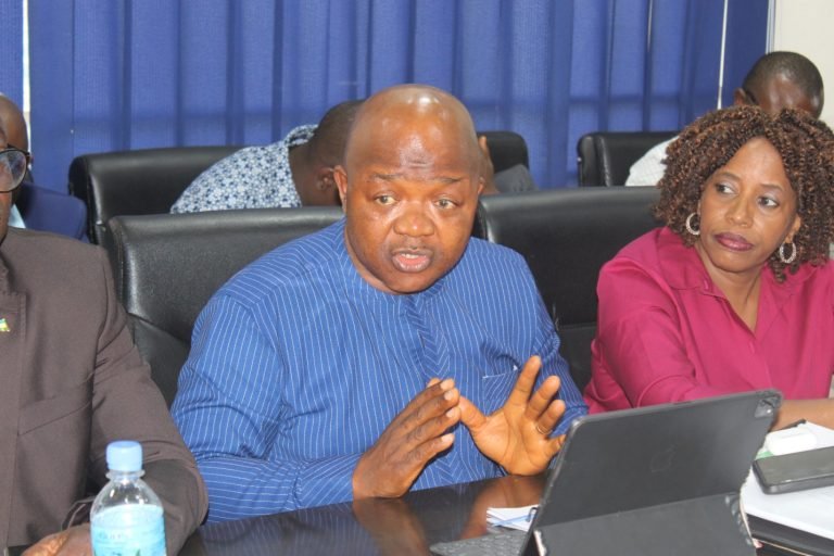 For effective healthcare delivery…MoHS Demands Le 99 Billion As 2023 annual budget