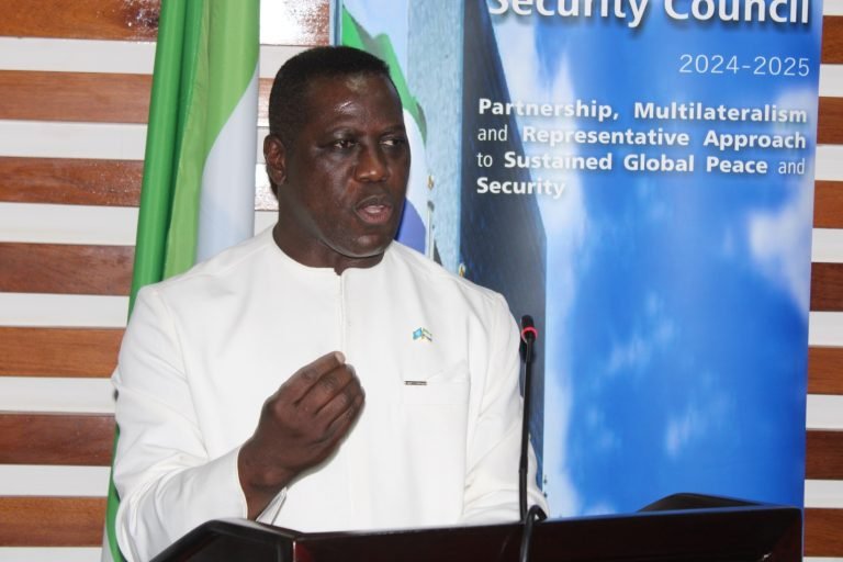 Foreign Minister Edifies President Bio’s Feats On Global Stage