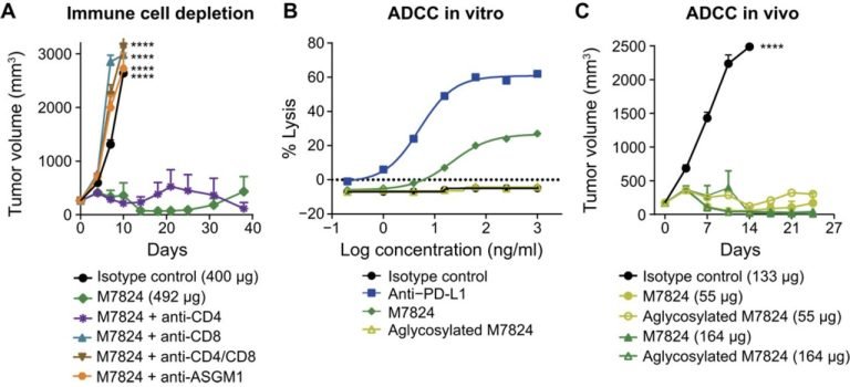 Business Establishment Census underway