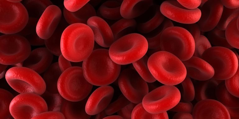 Haemophilia: A Silent Killer Disease To Be Confronted In Sierra Leone