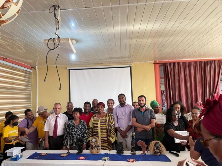 Diaspora Sierra Leoneans get Civic Education and Investment Orientation