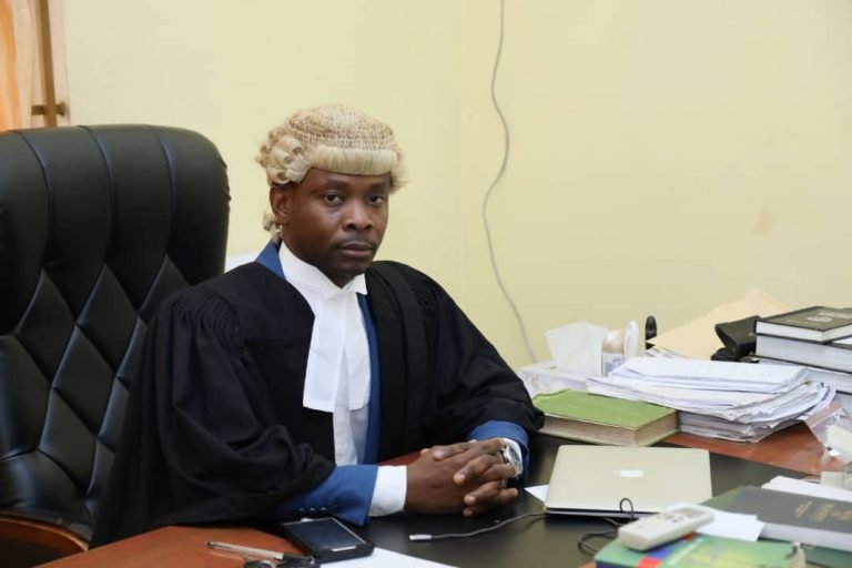 Magistrate Mark Ngegba Sentences Guinean Citizen Over $425,000 Scam