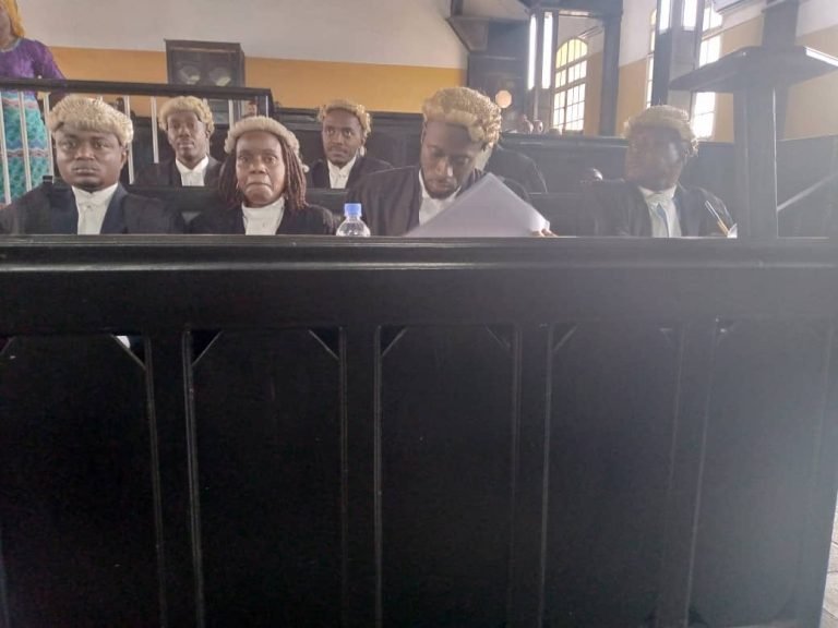 Lab Secures Release Of Guinean, Facilitates Her Return To Guinea