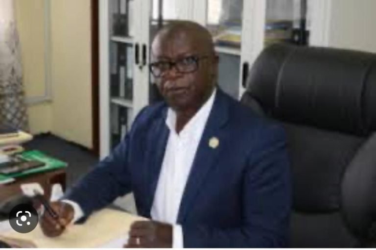 Minister Tamba Lamina Wows KDDA- UK