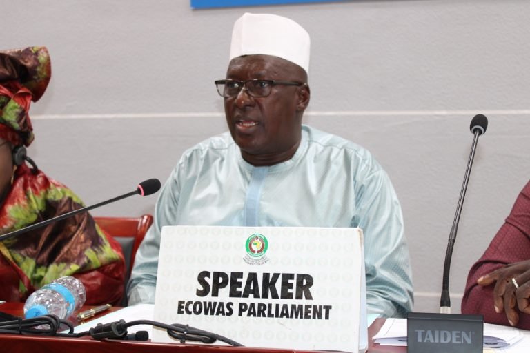 Ecowas Speaker Urges Women To Grab 30% Quota For Elected Positions