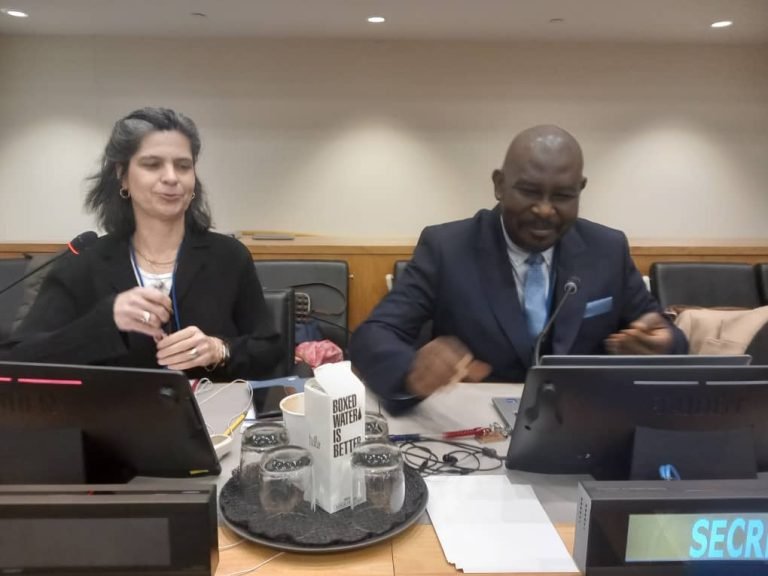 Every Court Would Always Be Accused of Being Biased-Sierra Leone’s Chief Justice Speaks At United Nations