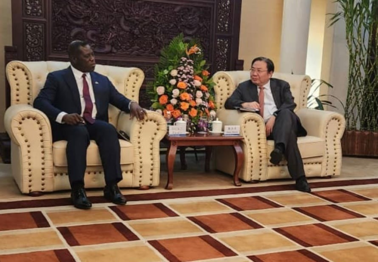 Lungi Bridge Construction…Foreign Affairs Minister Leads High level Delegation To China