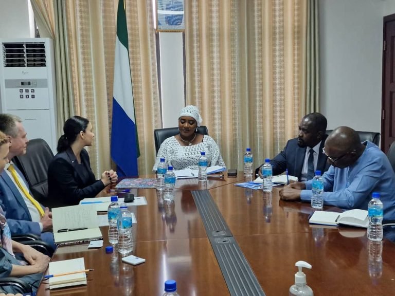 EU Election Observers Pay Courtesy Call On Deputy Foreign Affairs Minister