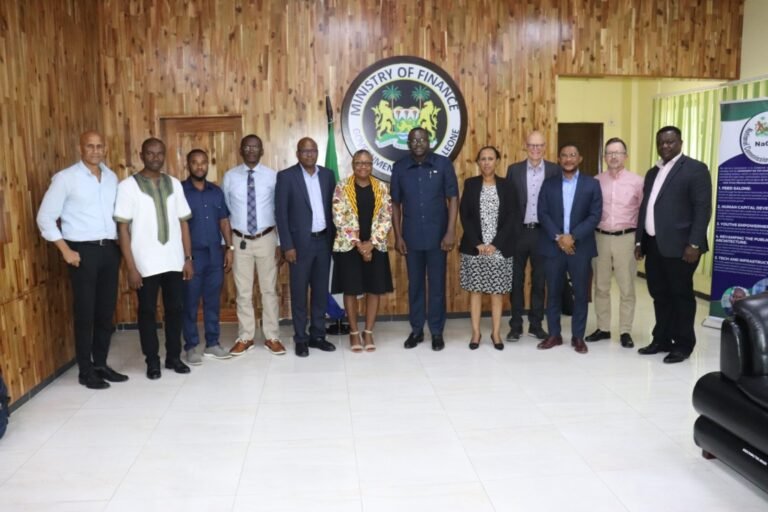 Engineering Consultants Assess Feasibility Of Lungi Bridge Project