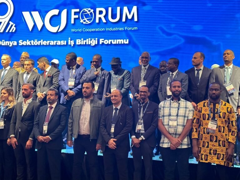 S/Leone Mineral Deposits Offer Significant Opportunities For High Returns In Investments-Umaru Napoleon Koroma