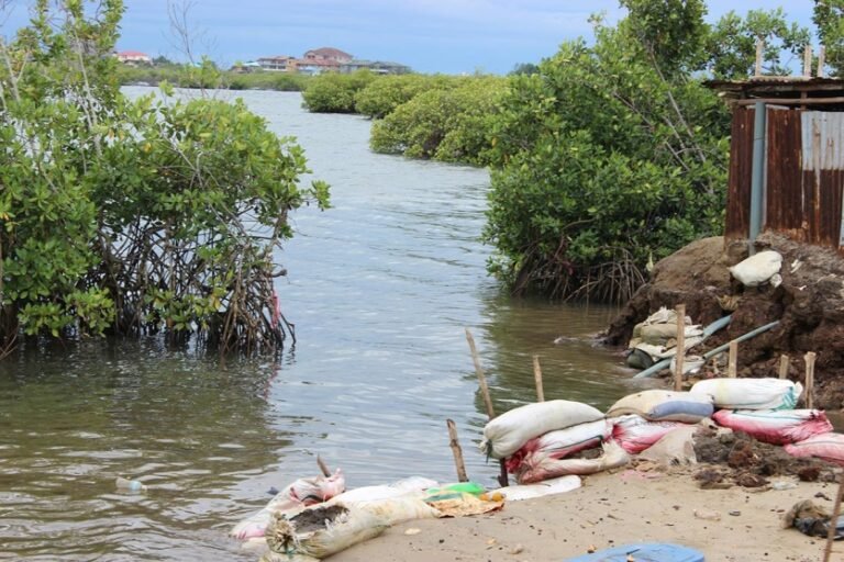 Erection Of Structures In Wet Lands Is Alaming In Kono District