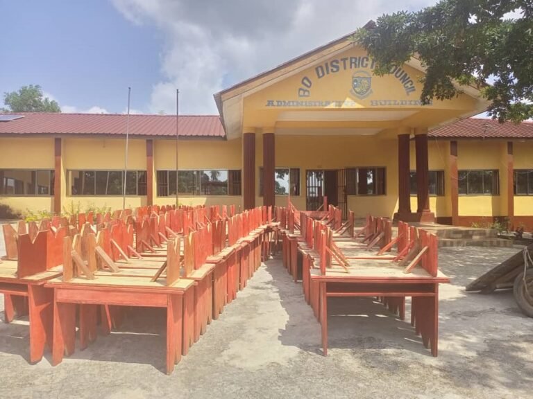 A Dynamic Visionary: Bo District Council Chairman Drives Tangible Change