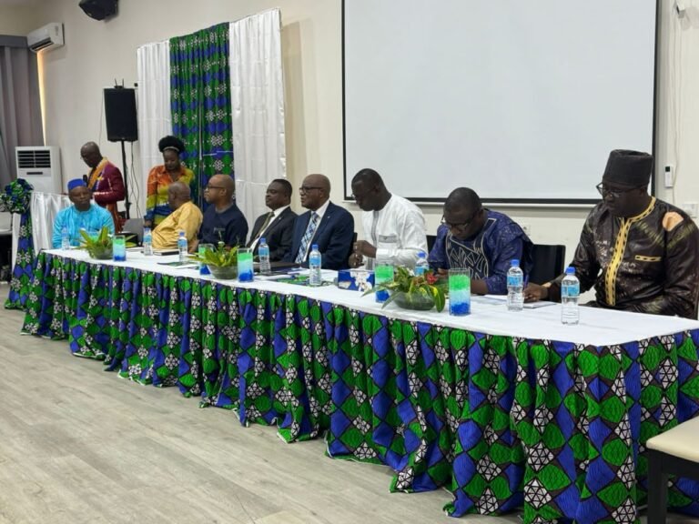 Minister Of Finance Represents President Bio In Digitized Motor Insurance Database Launching