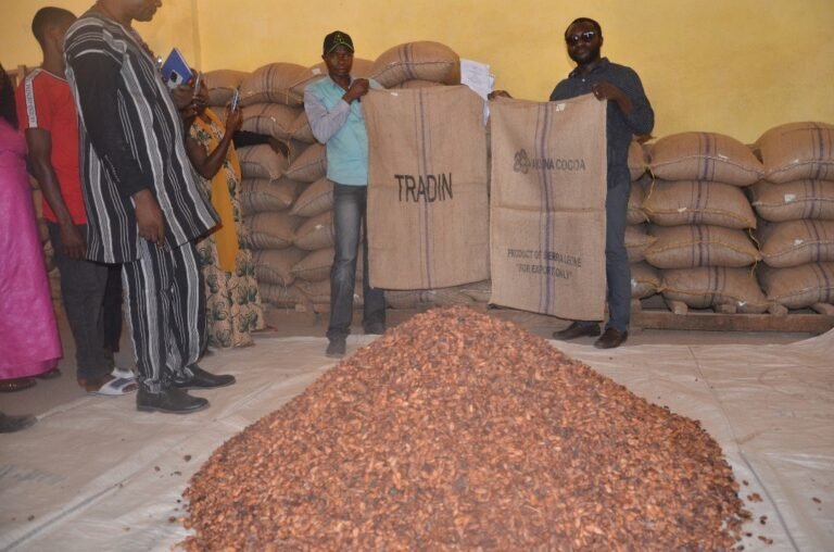 Minister Of Agriculture Impressed With SCADeP Grantees In Kono