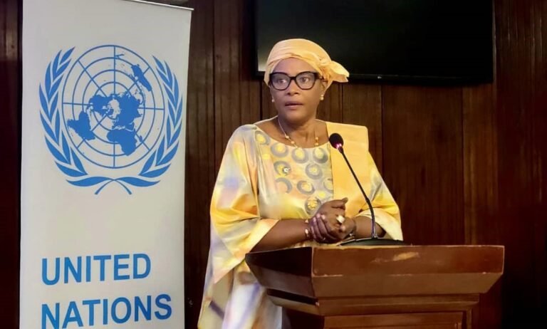 UN Resident Coordinator Leads Consultations for Sierra Leone’s Next Development Plan