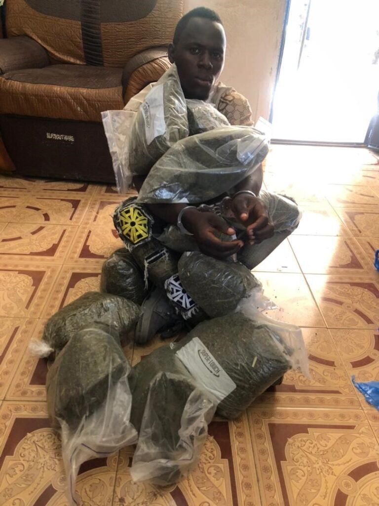 AIG Kanneh Leads Efforts:  Driver Caught with Kush, Faces Multiple Charges
