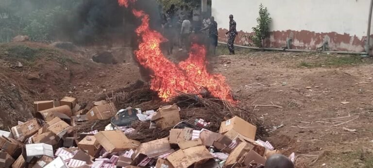 TOCU, NDLEA Pharmacy Board destroy tramadol, marijuana, others worth millions of Leones