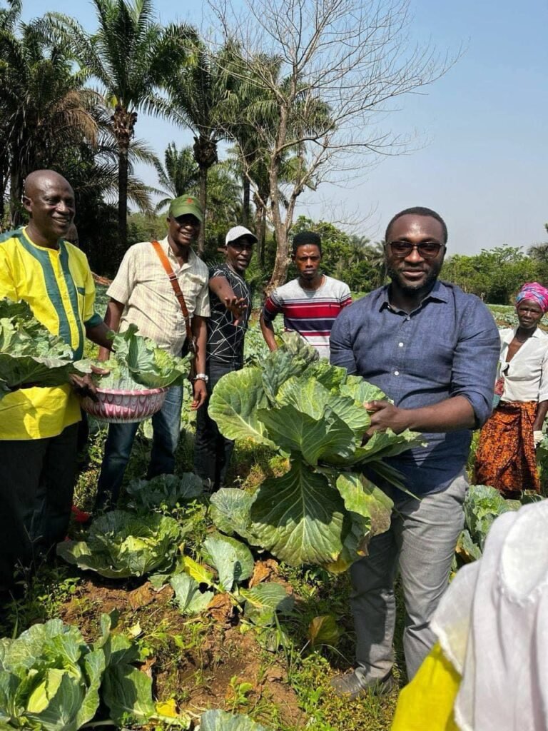 Minister of Agriculture Champions Feed Salone Programme During Field Tour