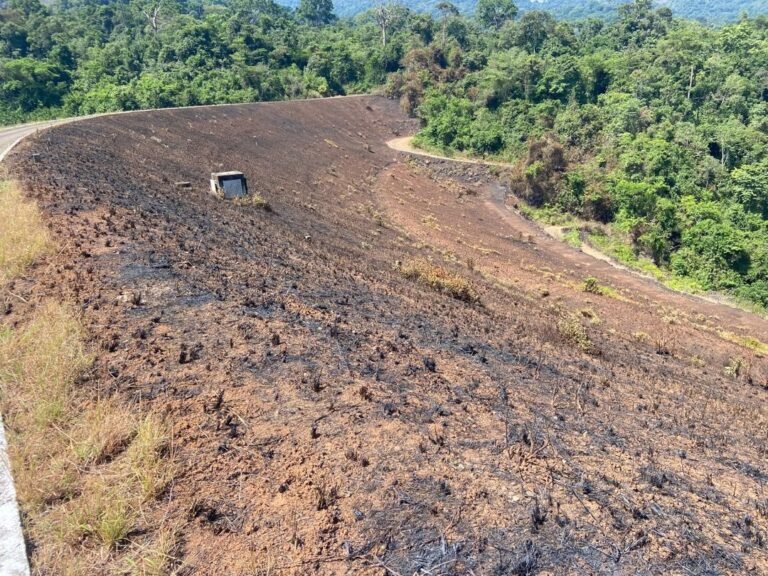 Arson Threatens Water Security in Freetown: Guma Valey Dam Embankment Set Ablaze