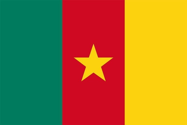 Cameroonian National Pleads Guilty to Unlawful Possession of Traveling Arrested