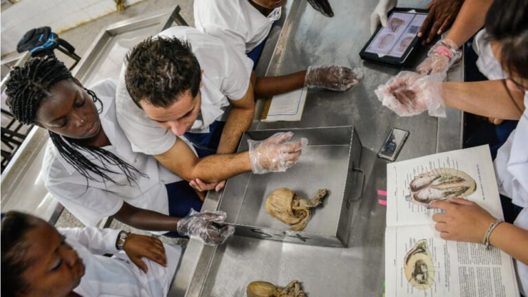 FINAL YEAR MEDICAL STUDENT DROWNS