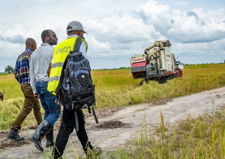 1000 More Staff to Support ‘Feed Salone’ Initiative