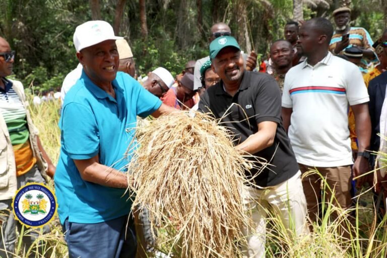 Vice President Jalloh Celebrates Agricultural Progress in Lokomasama