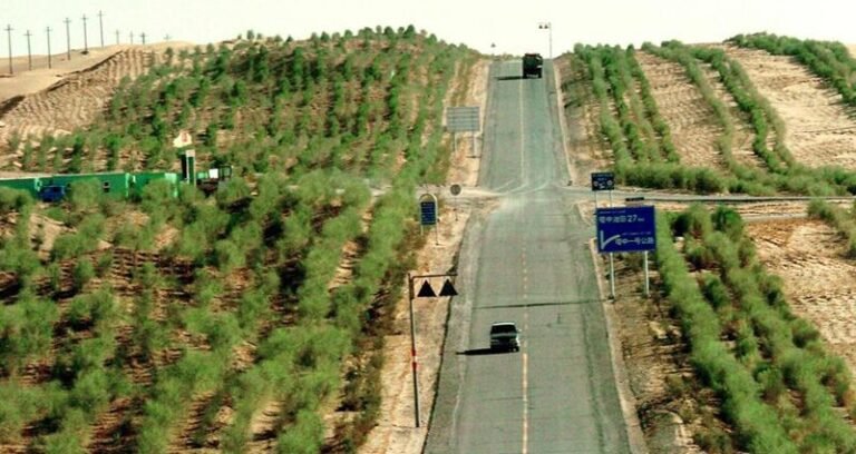 Robots, Plants and Photovoltaic Panels China Fortifies “Green Great Wall” to Contain Desert (China Update)