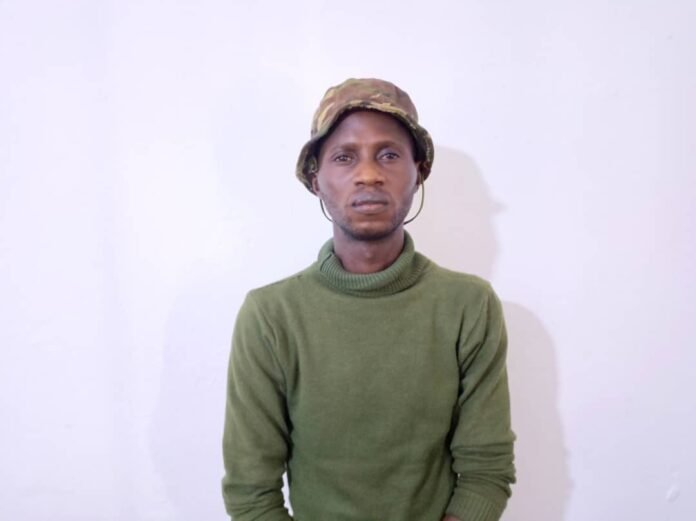 WhatsApp Image 2024-12-01 at 16.24.55