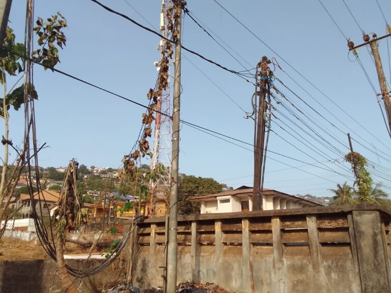Black Tank Community Demands Action Over Frequent Transformer Damage and Power Outages