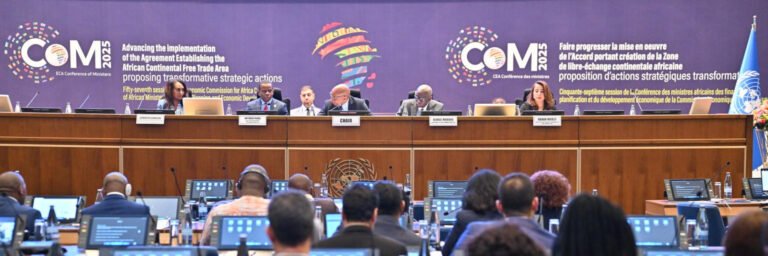 Experts Review Africa’s Economic and Social Development Towards Regional Integration in Addis Ababa