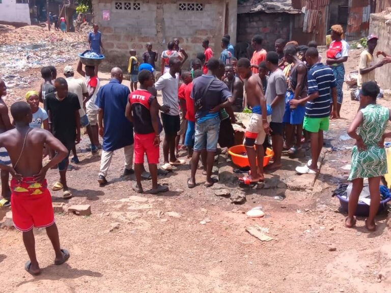 12-Year-Old Boy Saves Freetown Community from Wild Animal Threat