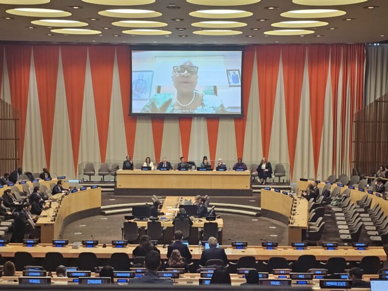 National Revenue Authority Boss Advocates For Gender-Responsive Tax Policies at ECOSOC Meeting