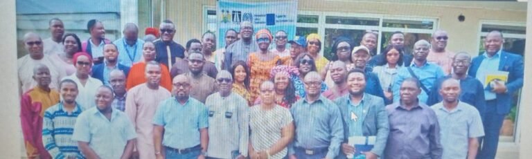 ILO and UNIDO Drive Infrastructure and Environmental Policy Reforms in Sierra Leone