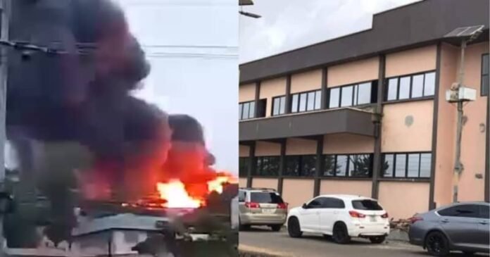 WhatsApp Image 2025-04-15 at 17.16.59